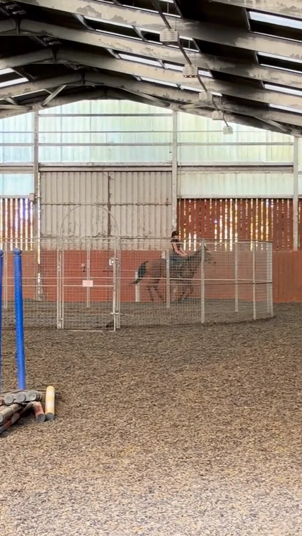 Lunge instruction in the indoor arena at Karen Jewell’s