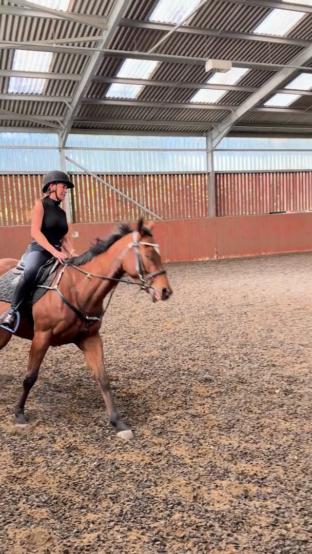 Ridden work in the indoor school